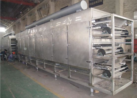 DWG-Transportband Oven For Onion van de Reeks Multilayer Hete Lucht/Gember