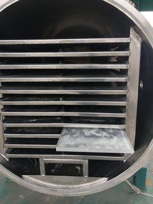 Farmaceutische de Tomaten Drogende Machine van de Vorst Drogere Machine 1100W
