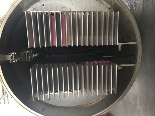 Commerciële Vorst Drogende Machine, Vacuümvorst Droger Materiaal voor Vruchten Groenten