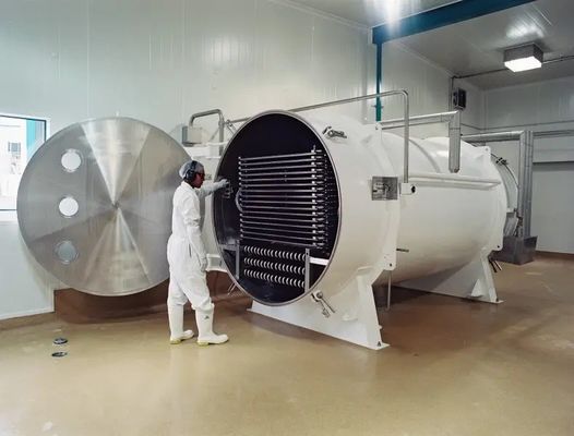 De Machine Vacuümvorst van de fruit Industrieel Vorst Droger het Drogen Materiaal