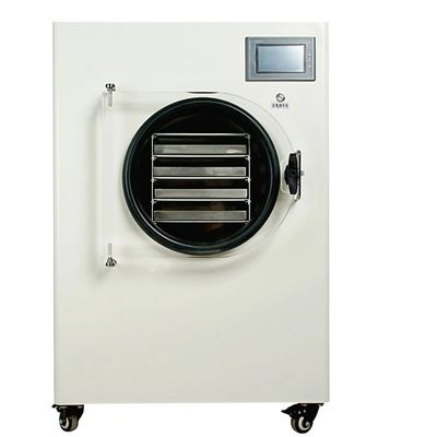 Vacuümvorst Drogere Machine Elektrische het Verwarmen Sublimatiedroger voor Groente