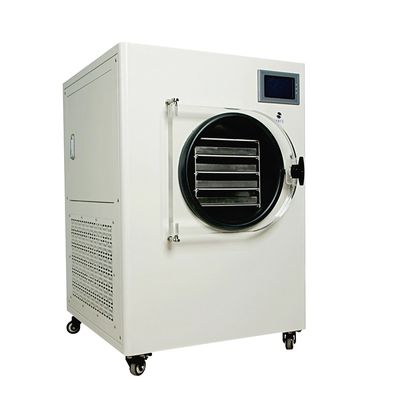 Vacuümvorst Drogere Machine Elektrische het Verwarmen Sublimatiedroger voor Groente