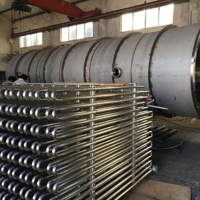 SUS304 Droger van de de Machine30kg/batch-5000kg/batch Sublimatie van de vleesvorst de Drogere